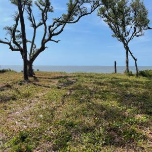 530 & 540 Seashore Dr.