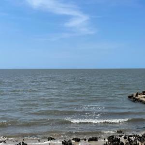 530 & 540 Seashore Dr.