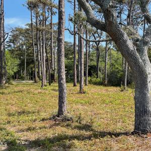 530 & 540 Seashore Dr.