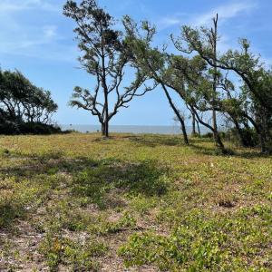 530 & 540 Seashore Dr.