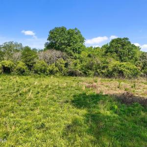 10-web-or-mls-DJI_0841