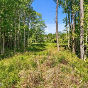 11-web-or-mls-DJI_0842