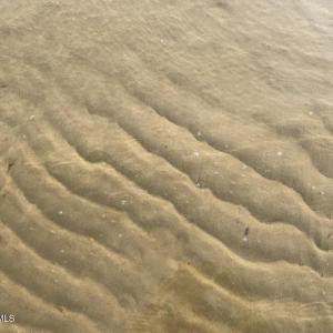 IMG_3557 Large