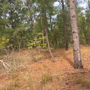 TBD Plank Road, Robbins