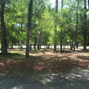3155 Fairway Ct 3