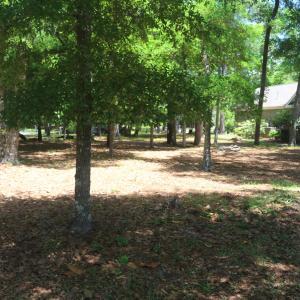 3155 Fairway Ct 3