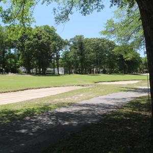 Fairway 3