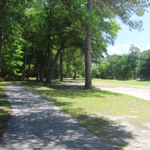 Fairway 3