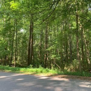 Property_Wooded2