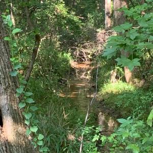 LongStreet_Stream
