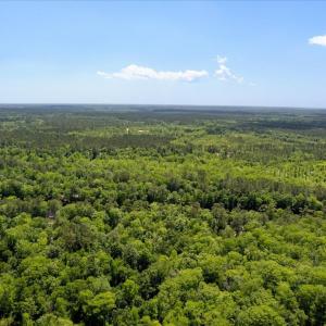 12-DronePhotosLotBurgaw-13