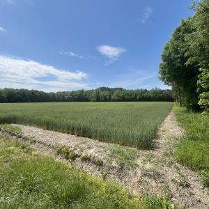 5_photo--clayhill-road