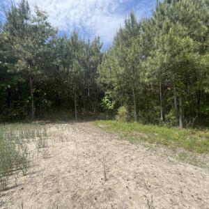 9_photo--clayhill-road