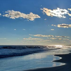 summer beach pic