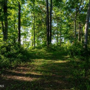 9289 Peakwod Dr MLS-17