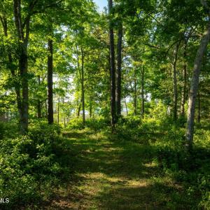 9289 Peakwod Dr MLS-32