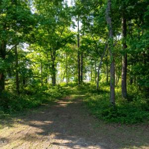 9289 Peakwod Dr MLS-33