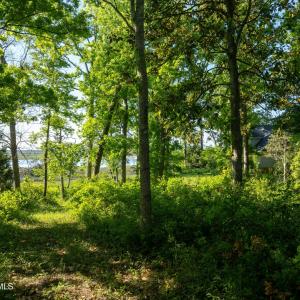 9289 Peakwod Dr MLS-39