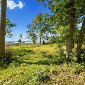 9289 Peakwod Dr MLS-40