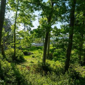 9289 Peakwod Dr MLS-41