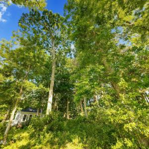 9289 Peakwod Dr MLS-42