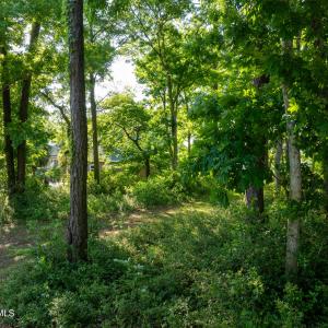 9289 Peakwod Dr MLS-44