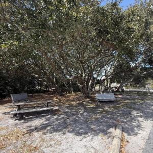 Neighborhood Park