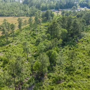 mls-DJI_20250508163701_0214_D