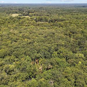 13 acres in Efland 3