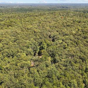 13 acres in Efland 4