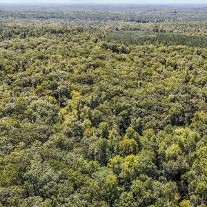 13 acres in Efland 6