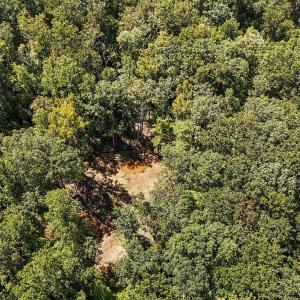 13 acres in Efland pond