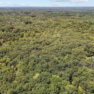 13 acres in Efland
