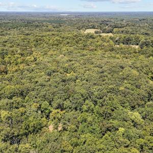 13 acres in Efland2