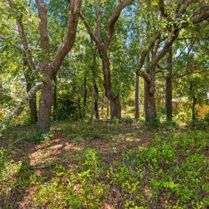 023_110_dow_road-23_403