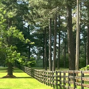 fenceline