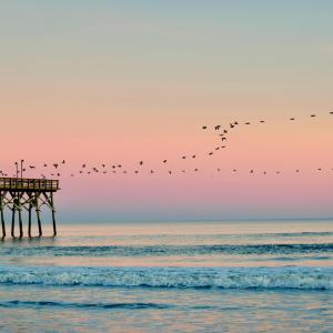 Ocean Isle Beach Pier
