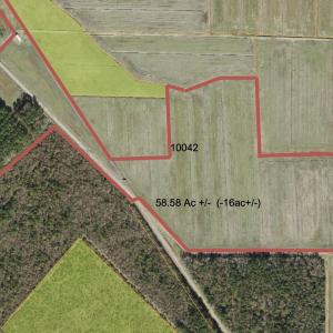 PIN 10042 58.5 ac