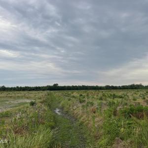IMG_4142