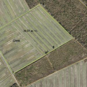 Photo #42 of Sr 1918, Aurora, NC 418.0 acres