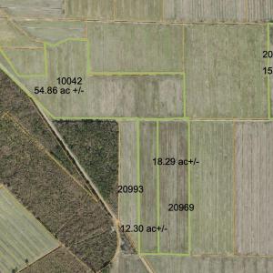 Photo #41 of Sr 1918, Aurora, NC 418.0 acres