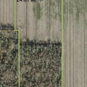 Photo #37 of Sr 1918, Aurora, NC 418.0 acres
