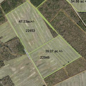 Photo #43 of Sr 1918, Aurora, NC 418.0 acres
