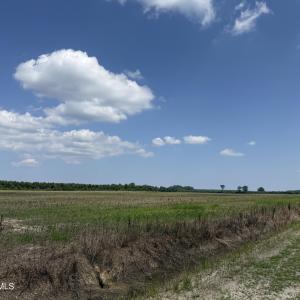 Photo #51 of Sr 1918, Aurora, NC 418.0 acres