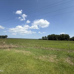 Photo #52 of Sr 1918, Aurora, NC 418.0 acres