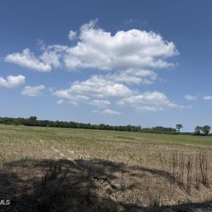 Photo #50 of Sr 1918, Aurora, NC 418.0 acres
