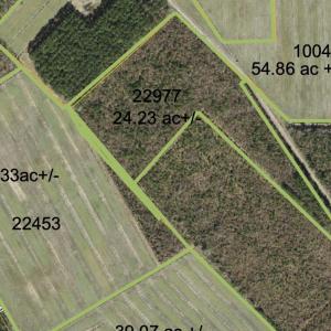 Photo #45 of Sr 1918, Aurora, NC 418.0 acres