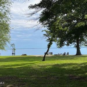 IMG_8903