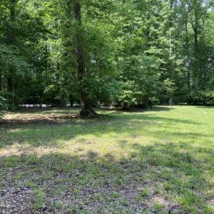 Nice and open surrounded by trees