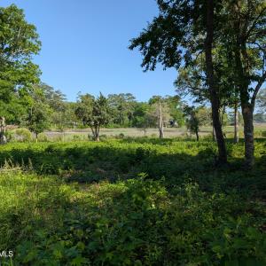 PXL_20250515_205032071